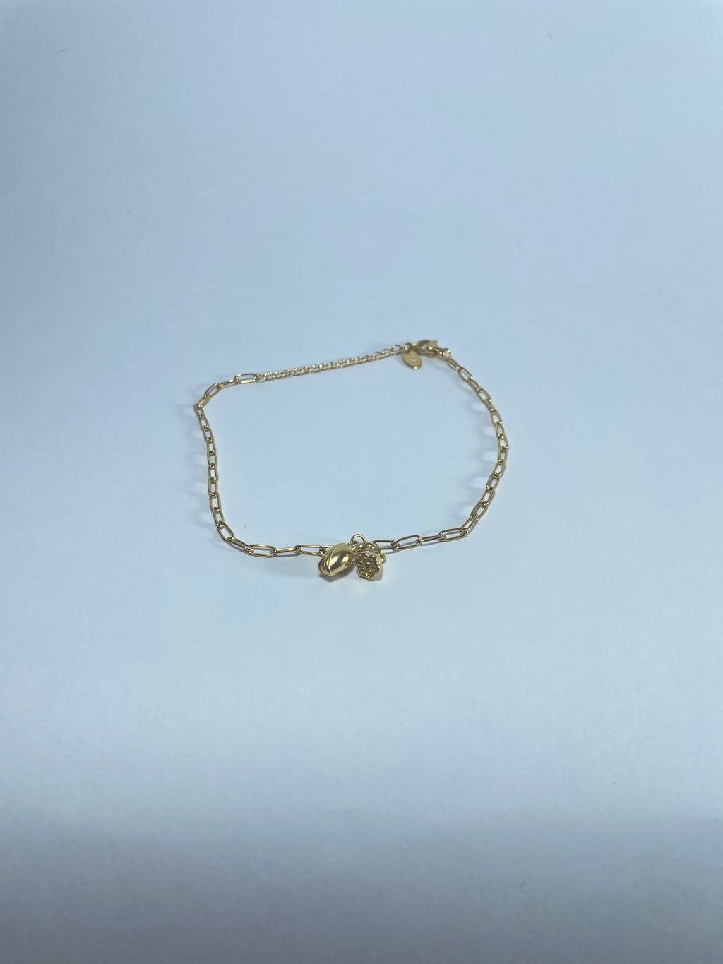 Gold Paperclip Anklet with Charms