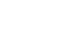 Wingy Bling